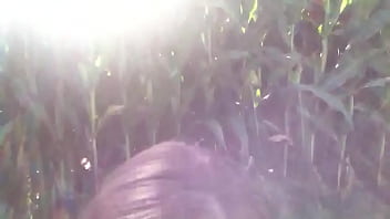 Deep throating in the corn field